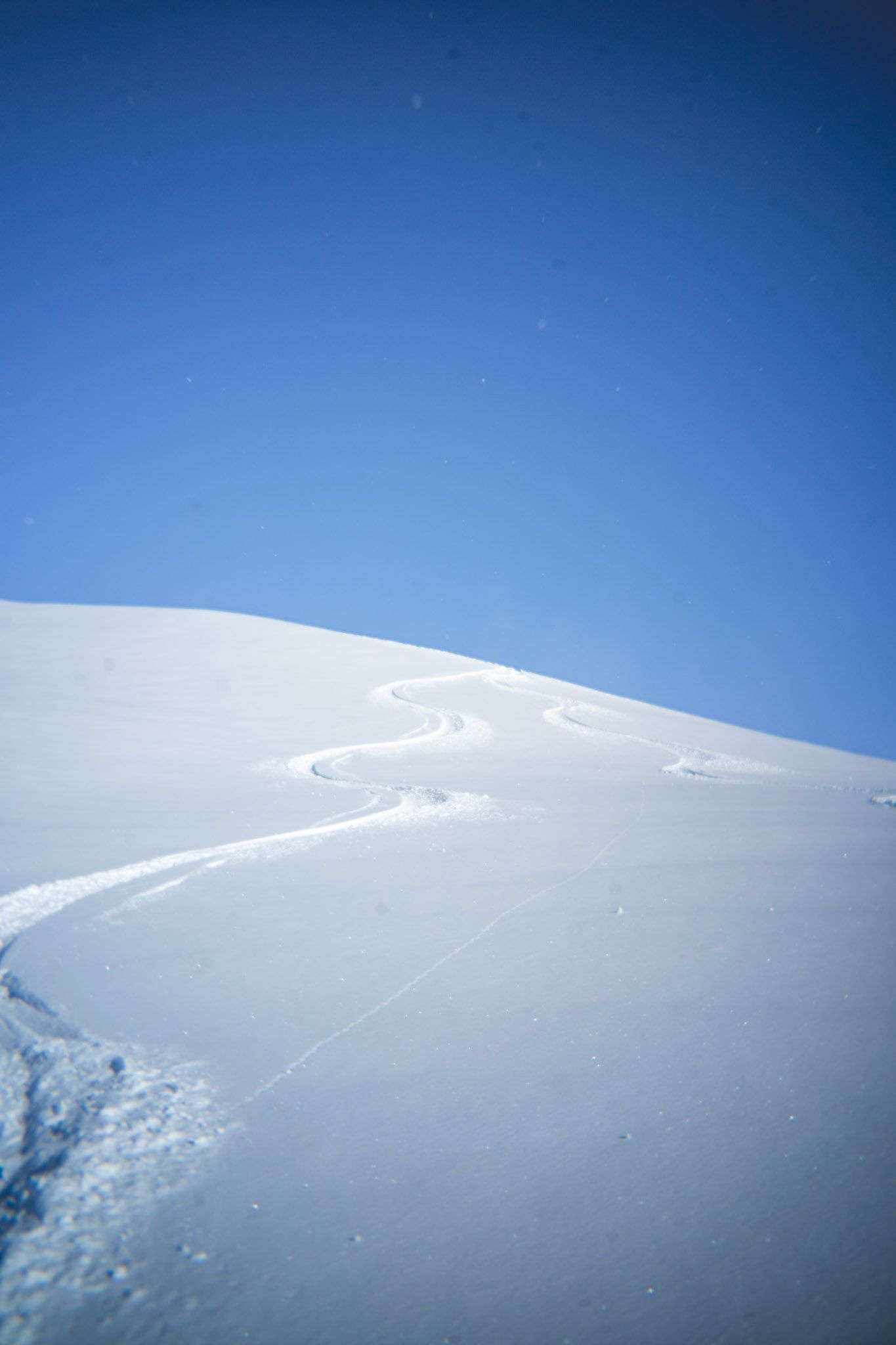 Leerer Pulverschneehang mit Skispuren